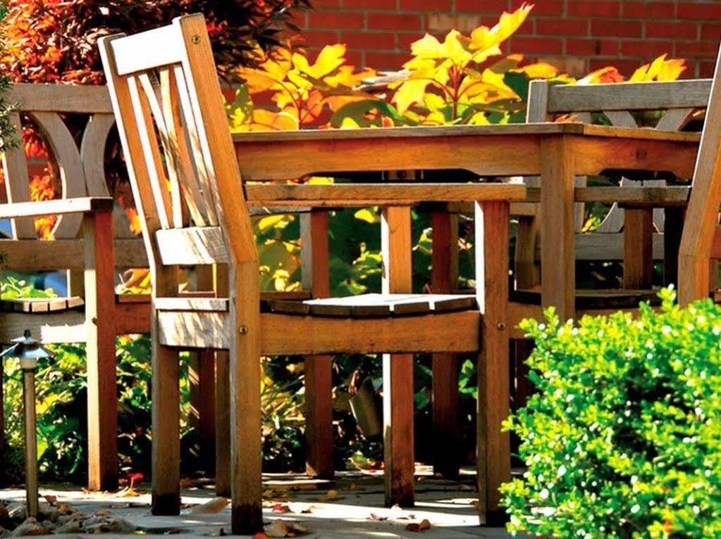 ליזיו Logis Terrasse Hotel מראה חיצוני תמונה